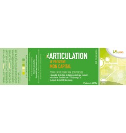 n°29 Articulation