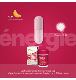 Duo Vita Énergie - Vita Articulation