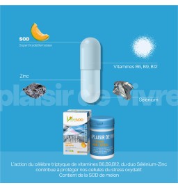 Duo Vita Plaisir de vivre - Vita Confort urinaire
