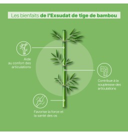 Duo Vita Immunité - Vita Articulation