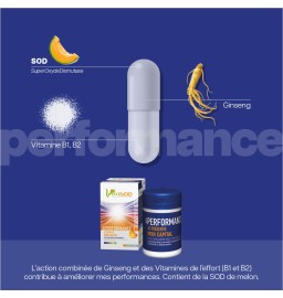 Duo Vita Performance - Vita Énergie