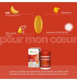Duo Vita Performance - Vita Pour mon coeur