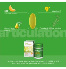 Duo Vita Immunité - Vita Articulation