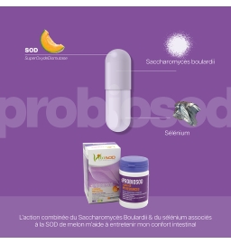 Vita Probiosod - 60 gélules, Cure de 1 à 2 mois