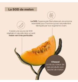 Vita Probiosod - 60 gélules, Cure de 1 à 2 mois