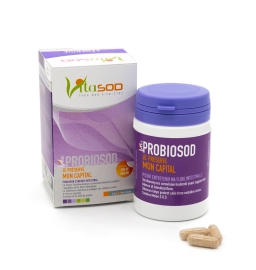 Saccharomyces cerevisiae boulardii